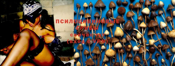 эйфоретик Краснослободск